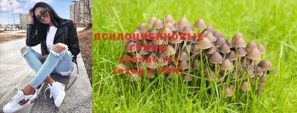 2c-b Абинск